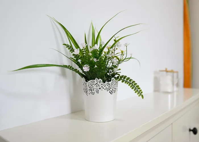 Rosales Λας Πάλμας ντε Γκραν Κανάρια